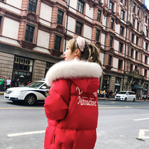 European Standing Oins Tide Size Fat Mm Thickened Down Clothes Woman Foreign Air Real Wow Collar Bread Suit Short and short