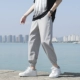 [8802-纯色浅灰]