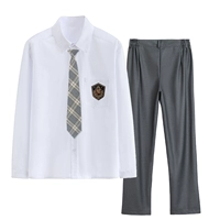 Рубашка, штаны, галстук, значок