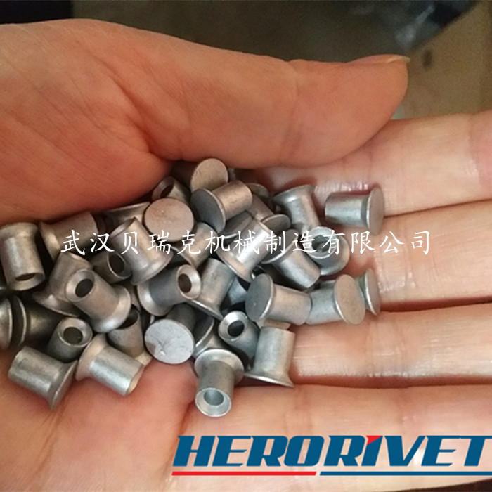 Flat - head and half - hollow rivet body maintenance special rivet - cap diameter 8mm