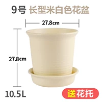 № 9 Long Light Rice (отправка Потто)