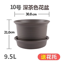 № 10 среднего цвета чая (посылка Потто)