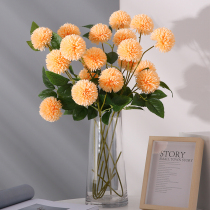 Modern minimalist glass vase transparent Nordic living room ornaments water culture flowers household flower arrangement round mouth large bottle