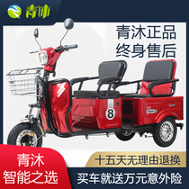 Electric tricycle dual-use household mobility battery car Mini small elderly elderly disabled leisure double