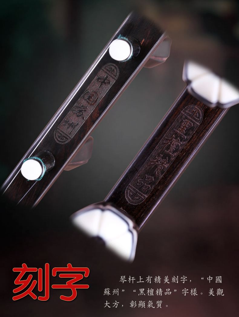 Ebony Hu Hu Erhu Nhạc cụ Erhu chấm điểm học piano Cấu hình ban đầu - Nhạc cụ dân tộc sáo mèo kép