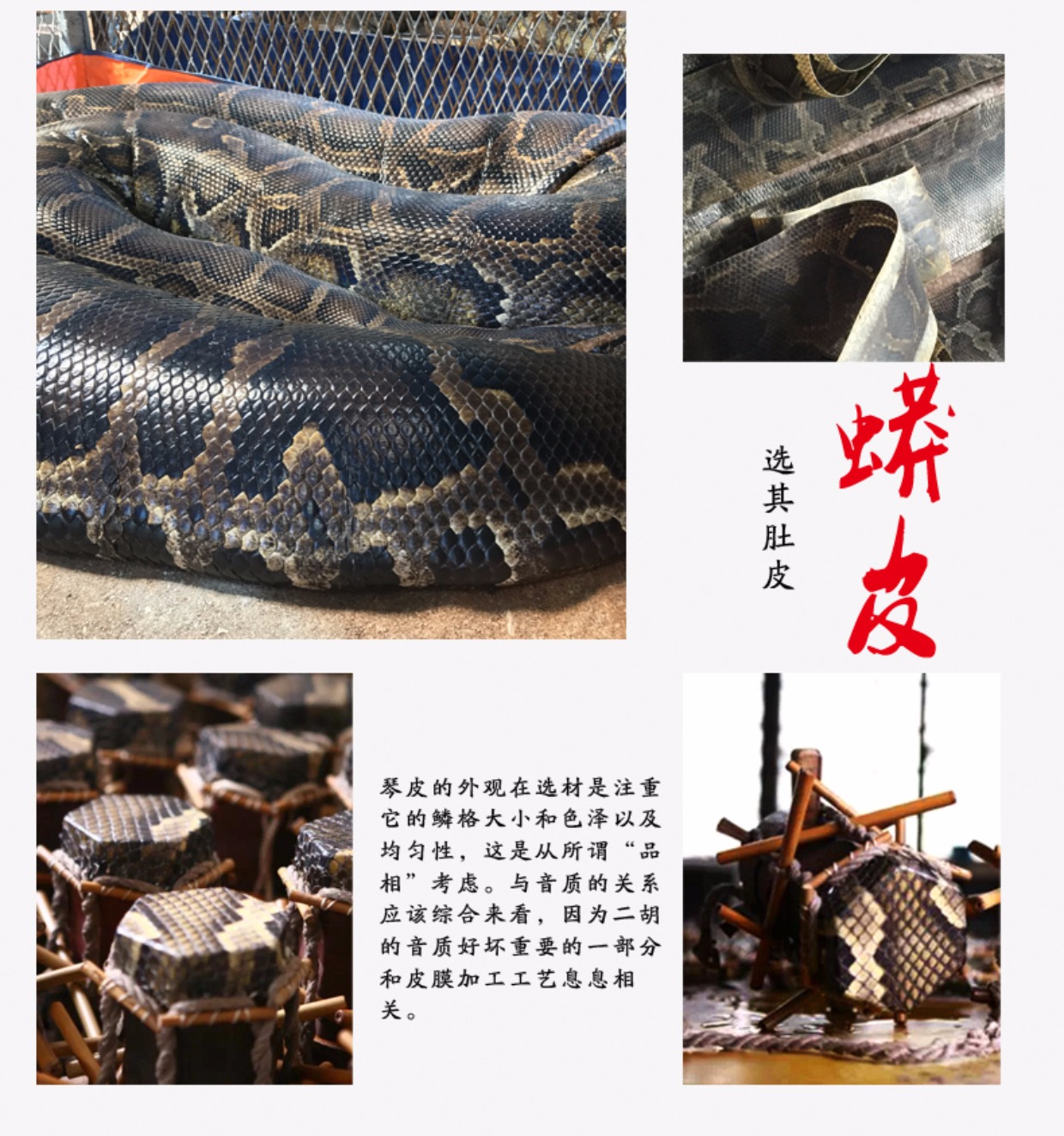 Ebony Gaohu Tờ rơi châu Phi phân loại gỗ mun chơi đàn nhị nhà máy sản xuất dụng cụ giao hàng trực tiếp - Nhạc cụ dân tộc đàn nguyệt cầm