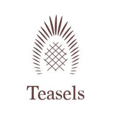 Teasels Studio