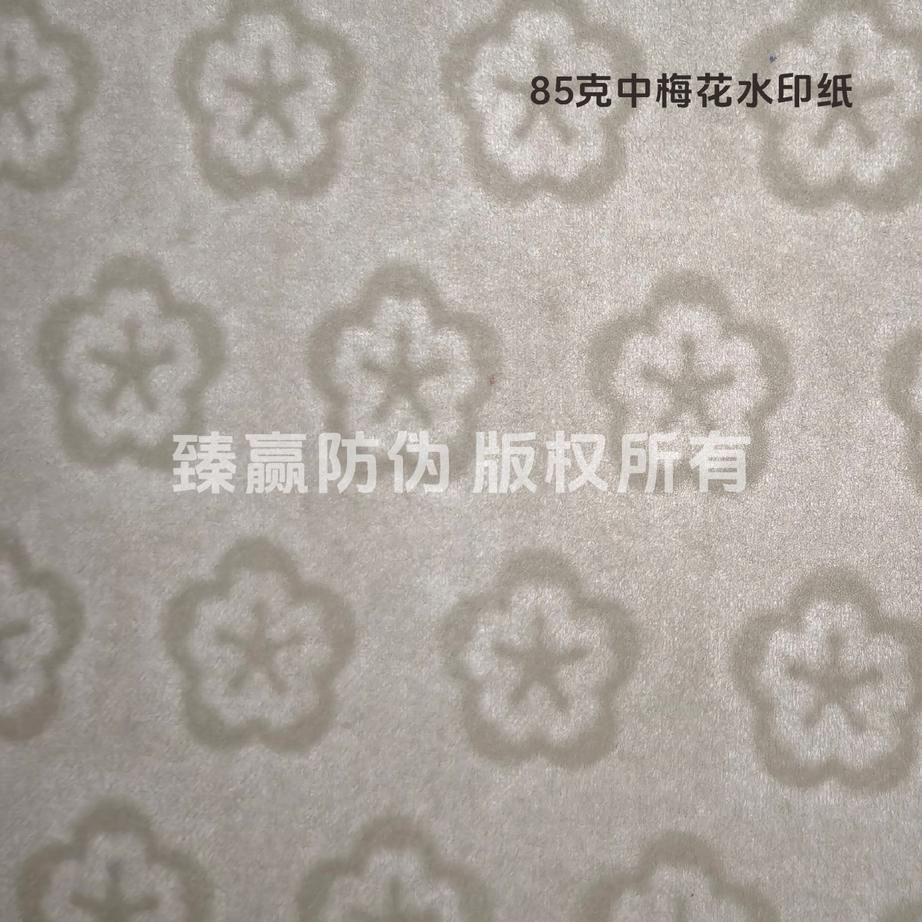 85克中梅花水印纸