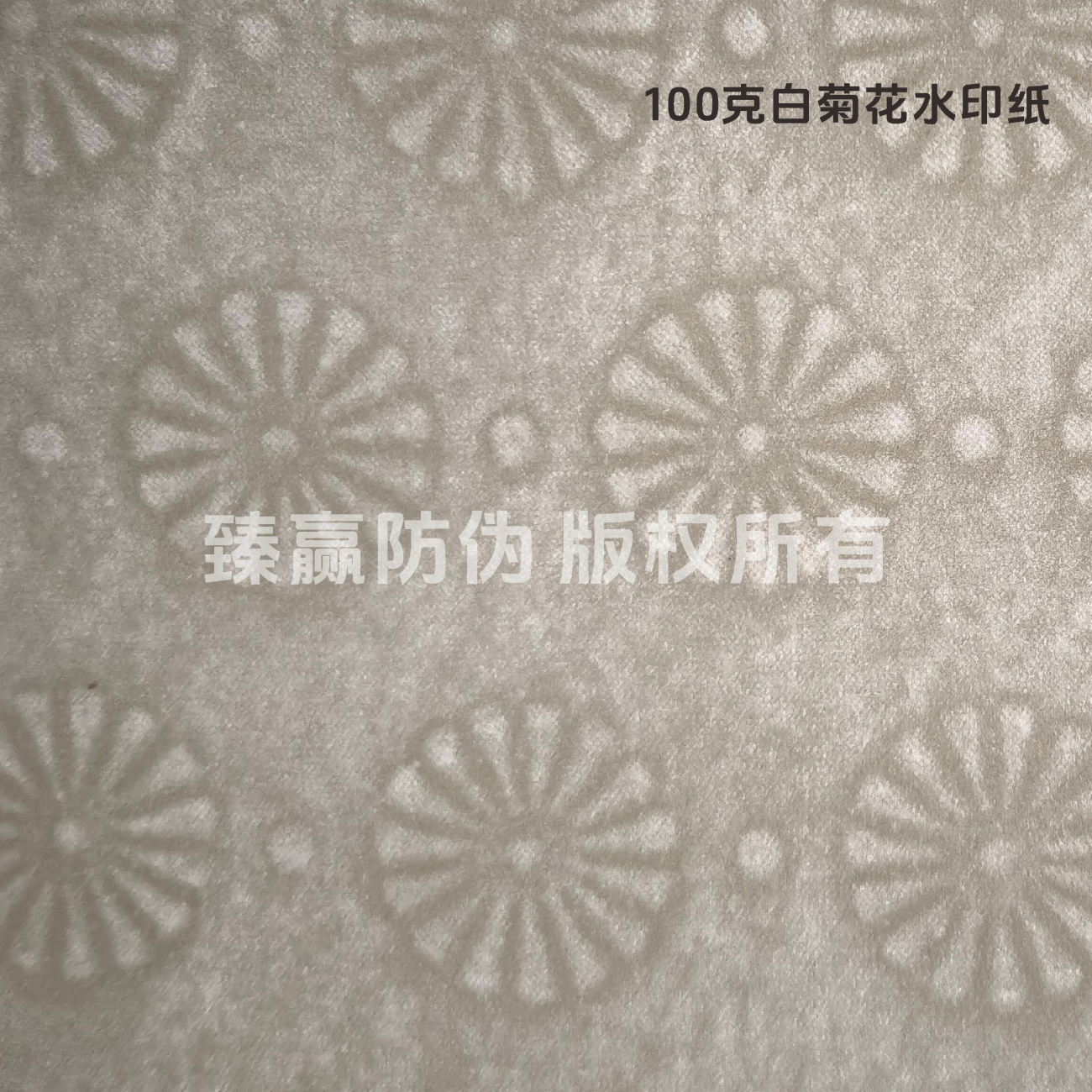 100克白菊花水印纸