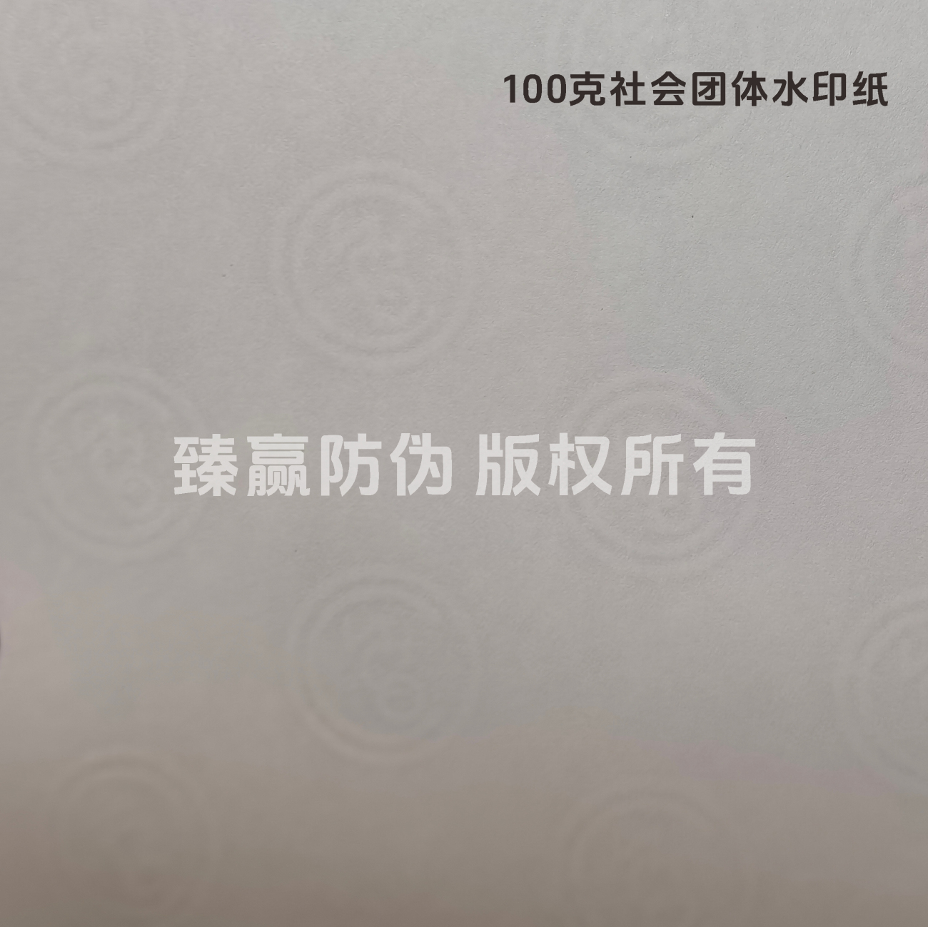 100克社会团体水印纸