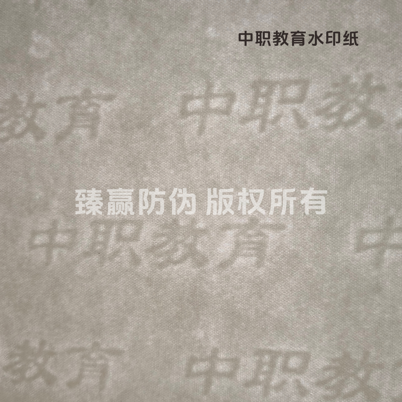 中职教育水印纸