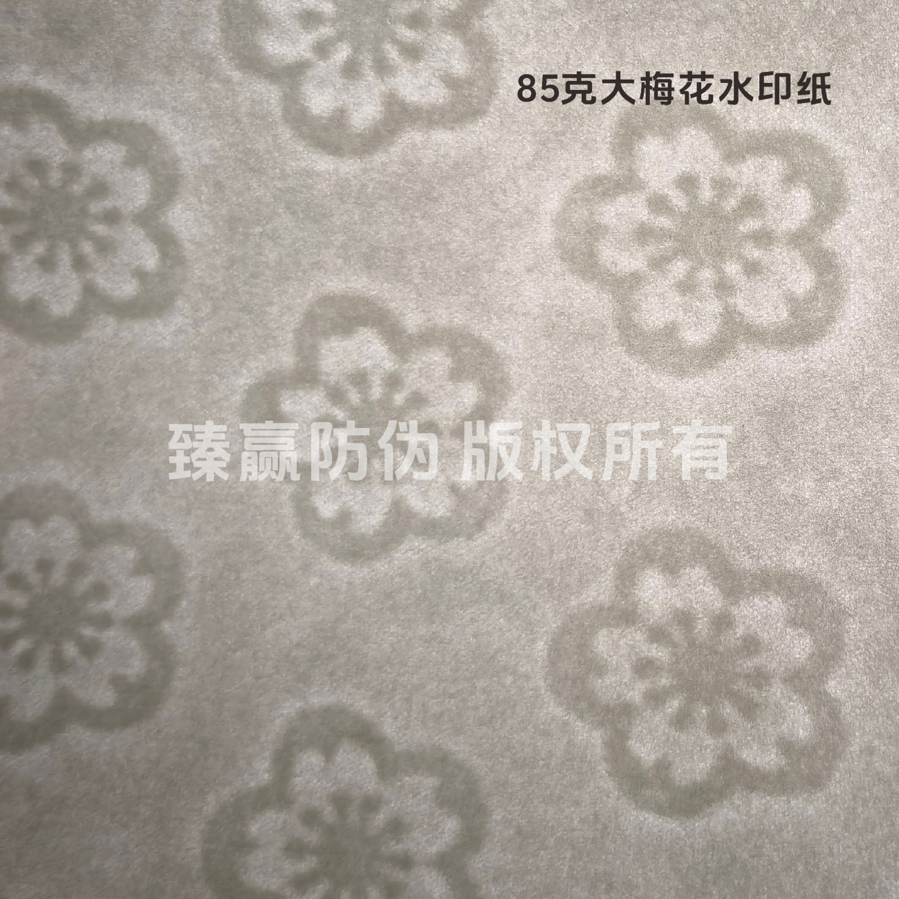 85克大梅花水印纸