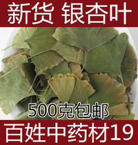 Chinese Herbal Medicine Ginkgo Biloba Dried Ginkgo biloba leaves Ginkgo biloba leaves Ginkgo Biloba Tea 500 g