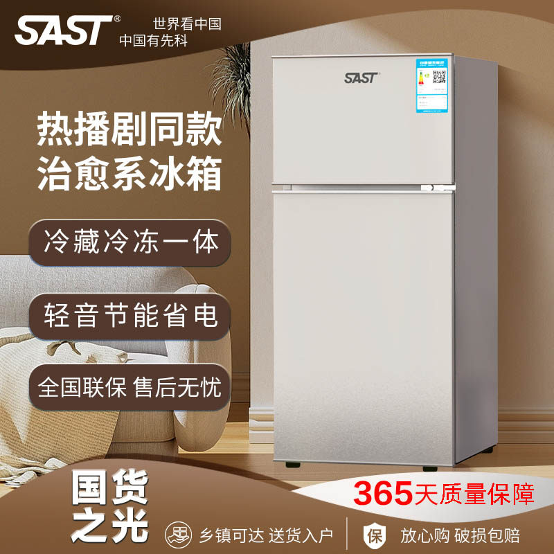 SAST小冰箱家用小型宿舍出租房冷冻冷藏迷你双开门电冰箱节能省电