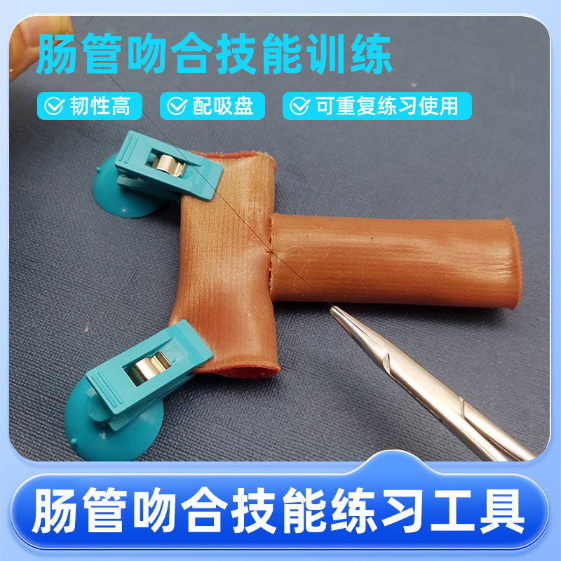 腹腔镜肠管吻合训练模型肠吻合练习工具肠管吻合训练模型
