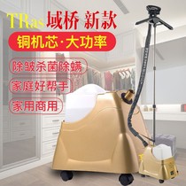 Domain Bridge ironing machine E8T688 copper core double switch high power big steam clothing store dedicated household ironing machine