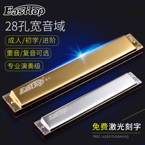 Dongfang Ding 24-hole Polyphonic C tune beginner students 28-hole accent advanced adult professional performance harmonica