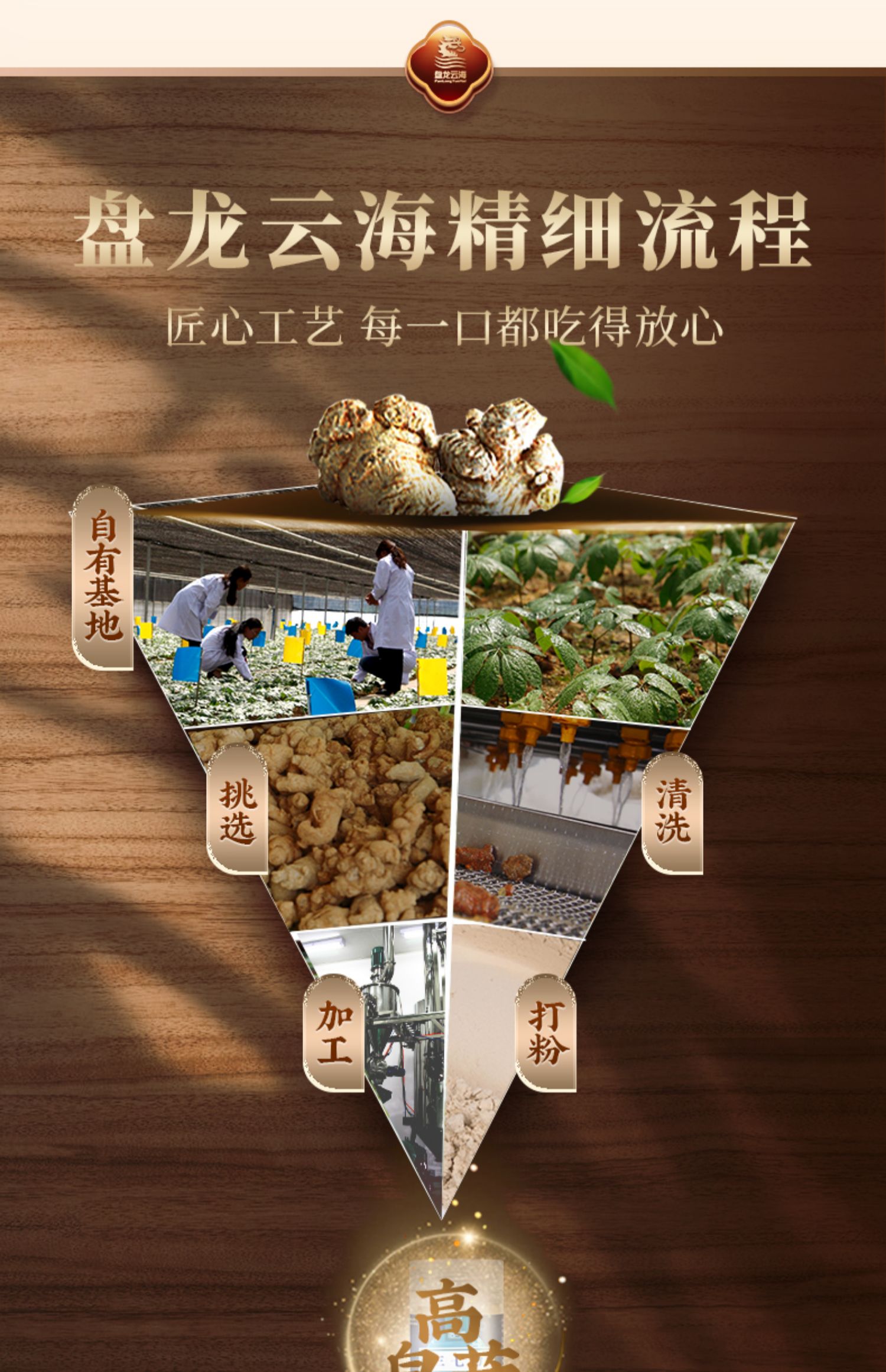 盘龙云海三七粉50g