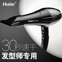 German hair dryer hair salon type division special barber shop household high-power silent negative ion hair care hair dryer industry