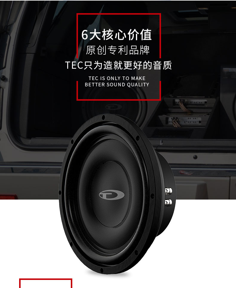 意大利TEC VE10