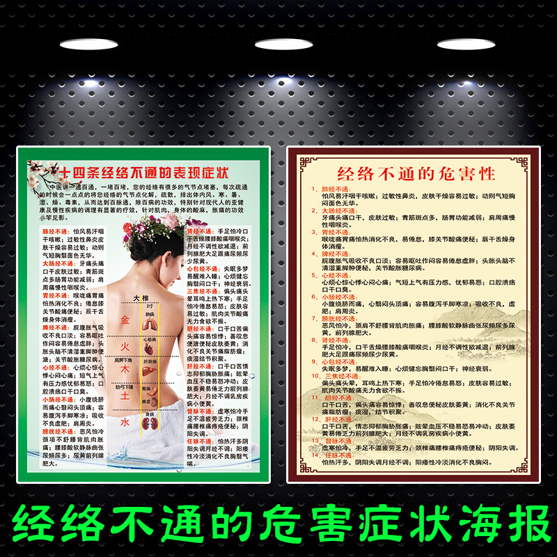 Human body fourteen Meridian Non manifestation Symptoms Harmful poster publicity painting Old TCM Museum Decorative Wall Chart