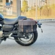 Flash 300-Single Left (Middle Model) Canvas Bag Упаковка Официальный документ для работы