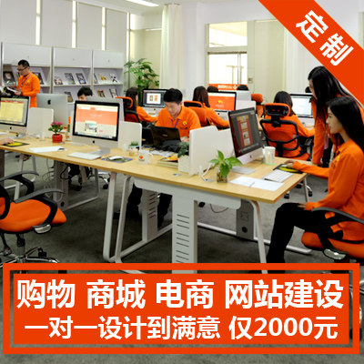 Shopping website - mall website - website construction - website customization - website production - making website - e-commerce website