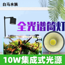 LED full-spectrum downlight aquatic straw lamp small fish tank landscaping clip lamp water and land tank South American spotlight COB lighting lamp stand