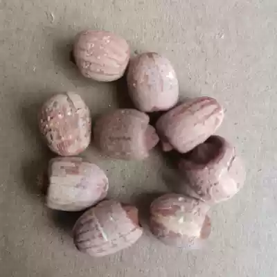 2021 new goods Xianglian wild lotus seeds dry goods with red skin with core red lotus seeds 500g with heart Lotus