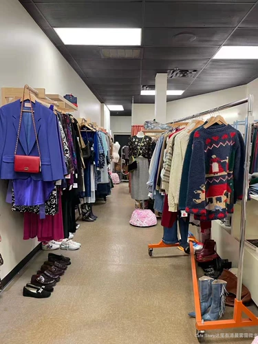 Изменение цен на нишевые сумки для одежды в стиле ретро SS