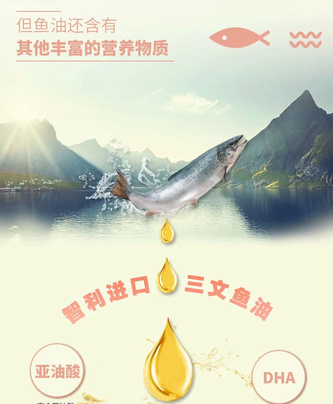 Mai Fudi Salmon Oil Formula Thức ăn cho mèo 1.5kg Thức ăn cho thú cưng Làm đẹp tóc Chăm sóc da Thức ăn cho mèo Thức ăn cá Hương vị cho mèo Thức ăn chủ yếu - Cat Staples