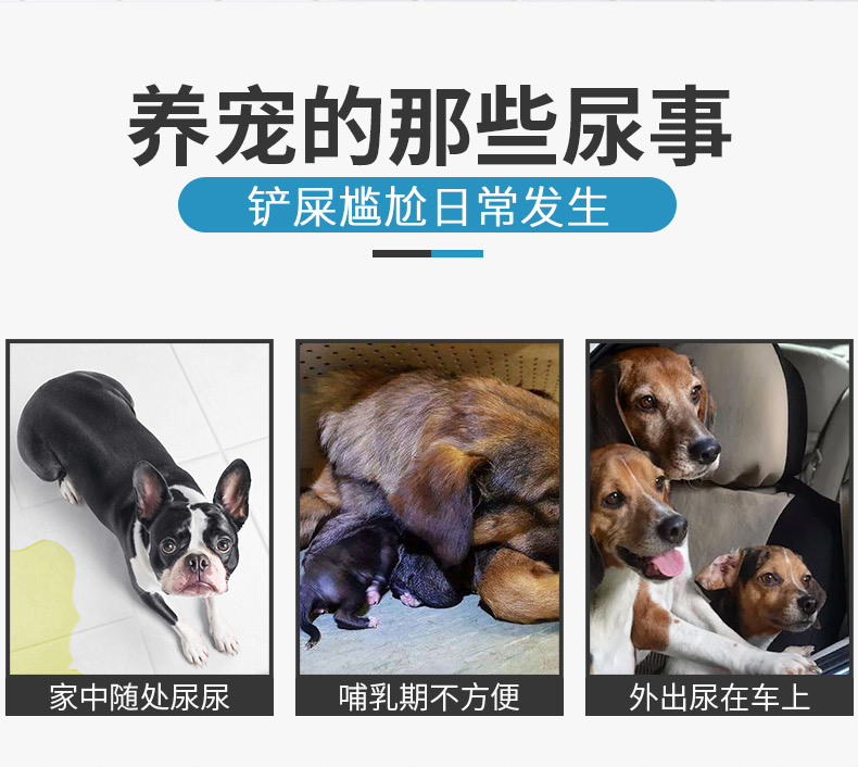 Tuyết thơm thú cưng tã mèo cung cấp chất khử mùi pad 50 tã tã chó dày - Cat / Dog Beauty & Cleaning Supplies lược chải lông mèo chó	