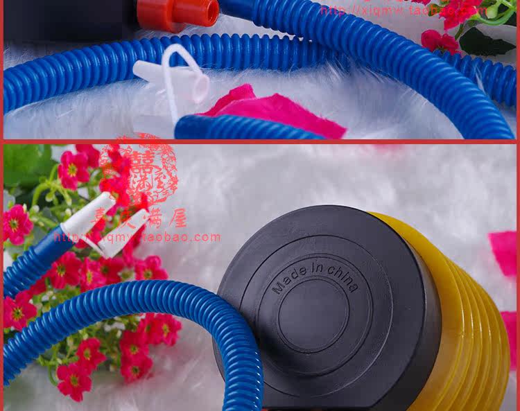 Pompe à vélo - Ref 2392698 Image 10