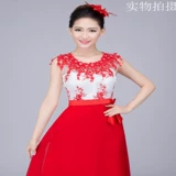 Летняя элегантная длинная юбка, длинное платье, комплект, костюм для взрослых, длина макси