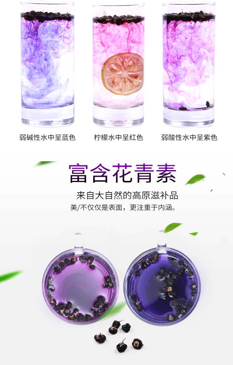 Black Wolfberry_10.jpg