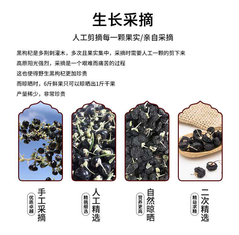 Black Wolfberry_04.jpg