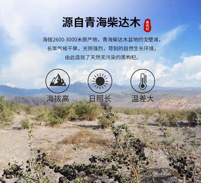 Black Wolfberry_03.jpg