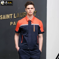 Тибетский синий с оранжевым верхом (анти -светлая полоса)