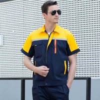 Тибетский синий с желтой топ (анти -светлая полоса)