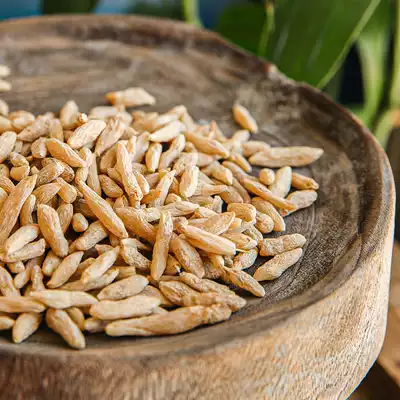 Yangrui and Ophiopogon japonicus, Sichuan Mianyang, can be used with Polygonatum North Sand ginseng to soak water and cultivate tea 200g