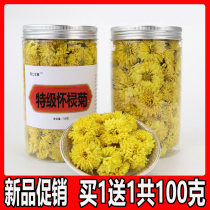 Wild Huaihua Chrysanthemum Flowers Chrysanthemum Wild Rhymes for Chrysanthemum Flowers with Chrysanthemum Flowers 1-1 of 1 1