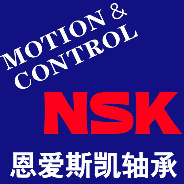 恩爱斯凯轴承企业店的LOGO