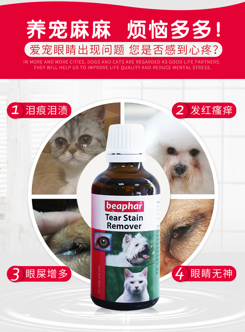 Beibang thú cưng nhỏ mắt mèo nhỏ mắt mèo mèo chảy nước mắt loại bỏ mí mắt 50ml - Thuốc nhỏ mắt thuốc nhỏ mắt tobrex