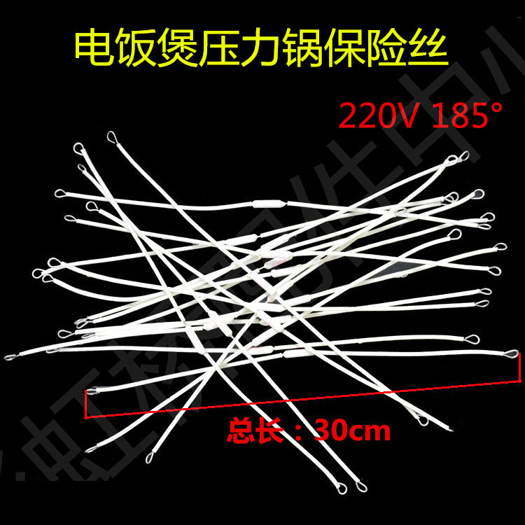 Electric cooker Insurance Ceramic insurance RF250V 20A 200 degrees 185-degree lengthened foot electric cooker Insurance tube