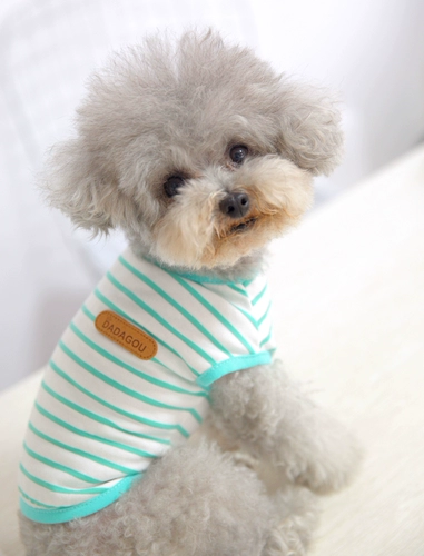 ПЭТ Баррин Сельдерея Снежный щенок щенка собака собака собака для собак весна и летний весенний фестиваль Осенний полосатый полосатый жилет