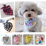 Специальное предложение с собакой Тедди Баррин Шерри Одежда