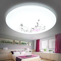 Creative ceiling lamp simple modern atmosphere bedroom walkway ceiling lamp lighting idyllic acrylic printing accommodation