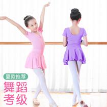 Cotton classical dance childrens dance clothes female spring and autumn art Test long sleeve practice clothes Chinese dance clothing gymnastics clothing pink