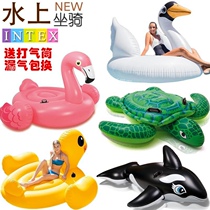 Childrens water toy inflatable sit swimming circle Adult sitting lap baby turtle dolphin shark whale great animal
