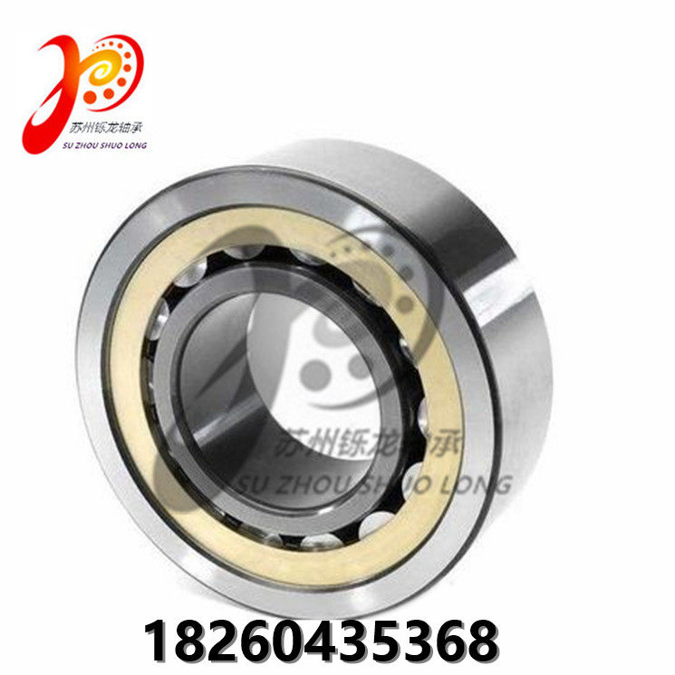 TMB Skyhorse reducer bearings NU205 206207208209210 305E NUP206E